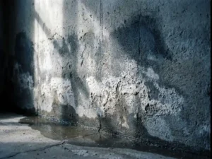 Vochtige betonnen keldermuur met witte zoutuitbloei, opstijgend vocht en waterplassen aan de voet.