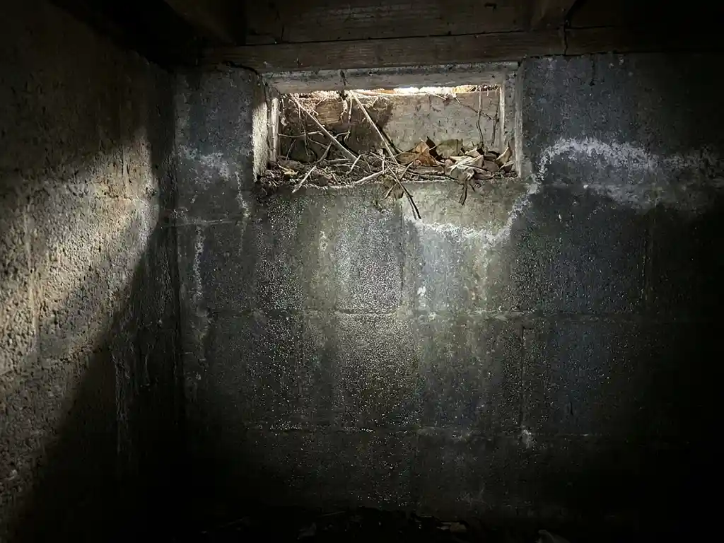 Vochtige betonnen kruipruimte met witte uitbloei op funderingsmuren en gedeeltelijk geblokkeerde ventilatieopening.