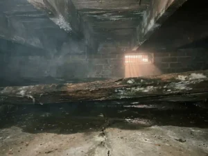 Doorzakkende houten vloer met rottende balken, schimmel en stilstaand water in een vochtige kruipruimte.